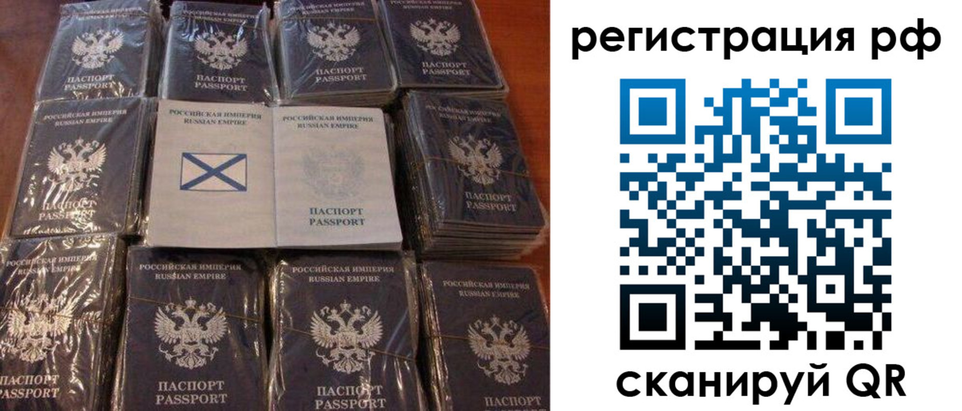 найти адрес прописки в Долгопрудном